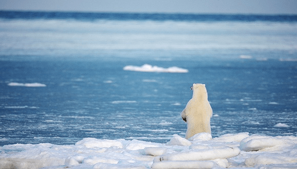 未來50年能源系統(tǒng)格局將大變，江蘇江河順應(yīng)時(shí)局，生態(tài)發(fā)展！